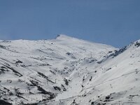 E, Granada, Monachil, Pradollano 3, Pico Veleta, Saxifraga-Willem van Kruijsbergen