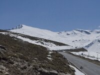 E, Granada, Monachil, Pradollano 39, Pico Veleta, Saxifraga-Willem van Kruijsbergen