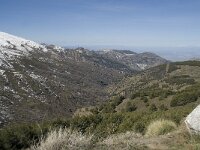 E, Granada, Monachil, Pradollano 45, Saxifraga-Willem van Kruijsbergen