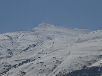 E, Granada, Monachil, Pradollano 5, Pico Veleta, Saxifraga-Willem van Kruijsbergen