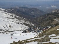 E, Granada, Monachil, Pradollano 55, Saxifraga-Willem van Kruijsbergen