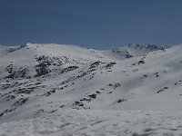 E, Granada, Monachil, Pradollano 61, Saxifraga-Willem van Kruijsbergen