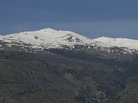 E, Granada, Orgiva 13, Saxifraga-Willem van Kruijsbergen