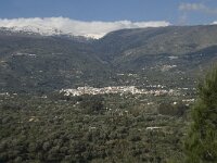 E, Granada, Orgiva 20, Saxifraga-Willem van Kruijsbergen