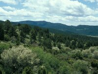 E, Teruel, Alcala de la Selva 2, Saxifraga-Jan van der Straaten