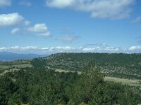 E, Teruel, Mora de Rubielos 7, Saxifraga-Jan van der Straaten