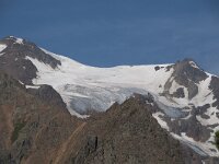 CH, Graubuenden, Val Muestair, Stilfserjoch 13, Saxifraga-Luuk Vermeer