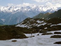 CH, Ticino, Airolo, Passo di Gana Negra 11, Saxifraga-Jan van der Straaten