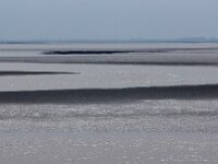NL, Friesland, Schiermonnikoog 103, Saxifraga-Foto Fitis-Sytske Dijksen