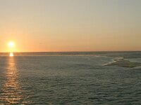 NL, Friesland, Terschelling, Terschellinger wad 18, Saxifraga-Hans Boll