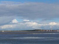 NL, Friesland, Terschelling, wad 1, Saxifraga-Sytske Dijksen