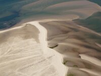 NL, Friesland, Vlieland, Vliehors 100, Saxifraga-Foto Fitis-Sytske Dijksen