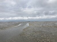 NL, Groningen, Het Hogeland, Pieterburen 60, Saxifraga-Willem van Kruijsbergen