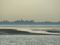 NL, Noord-Holland, Texel, Hollands Kroon, Balgzand 1, Saxifraga-Foto Fitis-Sytske Dijksen