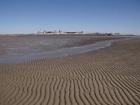 NL, Noord-Holland, Texel, Mokbaai 27, Saxifraga-Foto Fitis-Sytske Dijksen