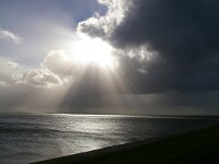 NL, Noord-Holland, Texel, Oudeschild 26, Saxifraga-Foto Fitis-Sytske Dijksen