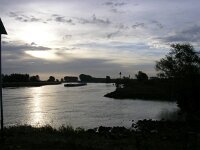 NL, Gelderland, Rheden, Havikerwaard 2, Saxifraga-Henk Sierdsema