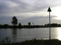 NL, Gelderland, Rheden, Havikerwaard 4, Saxifraga-Henk Sierdsema