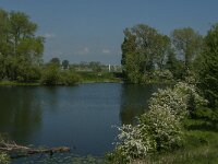 NL, Noord-Brabant, 's-Hertogenbosch, De Koornwaard 71, Saxifraga-Jan van der Straaten