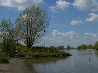 NL, Noord-Brabant, 's-Hertogenbosch, Empelse Waard 9, Saxifraga-Marijke Verhagen