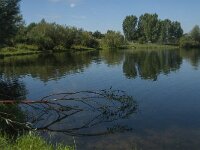NL, Noord-Brabant, Lith, Lithse Ham 4, Saxifraga-Jan van der Straaten