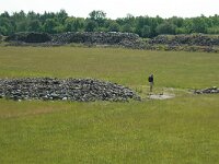 S, Oland, Morbylanga, Gardby 3, Saxifraga-Marjan van der Heiden