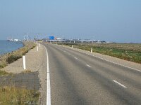 NL, Friesland, Noardeast-Fryslan, Pier Holwerd 1, Saxifraga-Jan van der Straaten
