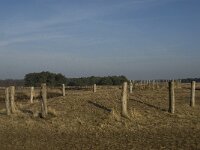 NL, Noord-Brabant, Goirle, Regte Heide 19, Saxifraga-Jan van der Straaten