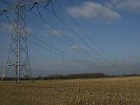 NL, Noord-Brabant, Land van Cuijk, Beerse Overlaat 1, Saxifraga-Jan van der Straaten