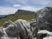 F, Drome, Treschenu-Creyers, Vallon de Combeau 103, Saxifraga-Willem van Kruijsbergen
