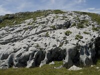 F, Drome, Treschenu-Creyers, Vallon de Combeau 48, Saxifraga-Willem van Kruijsbergen