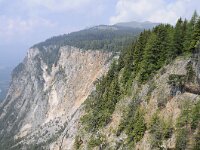 A, Kaernten, Krems, Koenigstuhl 33, Saxifraga-Luuk Vermeer