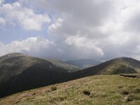 A, Kaernten, Reichenau, Schoberriegel 16, Saxifraga-Luuk Vermeer