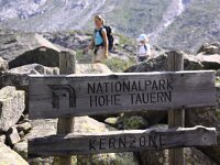 A, Salzburg, Neukirchen, Obersulzbachtal 8, Saxifraga-Jonathan Vandevoorden