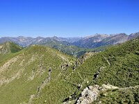 F, Alpes Maritimes, Vesubie 10, Saxifraga-Elisabeth Raboin