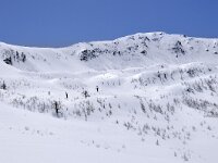 F, Alpes Maritimes, Vesubie 2, Saxifraga-Elisabeth Raboin