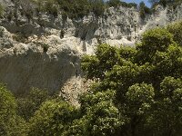 F, Bouches-du-Rhone, Saint Remy-de-Provence, Vallon-de-Saint Clerg 5, Saxifraga-Marijke Verhagen