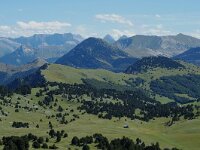 F, Drome, Treschenu-Creyers, Vallon de Combeau 17, Saxifraga-Jan van der Straaten