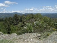 F, Lozere, Le Pompidou 15, Saxifraga-Willem van Kruijsbergen