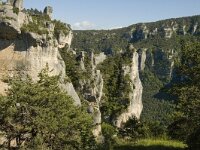 F, Lozere, Le Rozier 18, Saxifraga-Marijke Verhagen