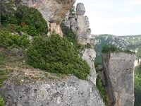 F, Lozere, Le Rozier, Gorge de la Jonte 1, Saxifraga-Dirk Hilbers