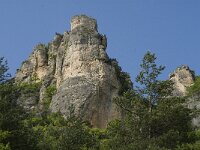 F, Lozere, Les Vignes 22, Saxifraga-Marijke Verhagen