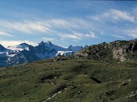 I, Valle d'Aosta, Cogne, Rifugio Sella 1, Saxifraga-Jan van der Straaten