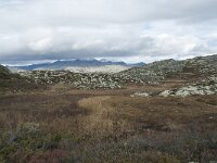 N, Innlandet, Sel, Klufttjonne 44, Saxifraga-Annemiek Bouwman