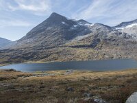 N, More og Romsdal, Rauma, Alnesvatnet 29, Saxifraga-Willem van Kruijsbergen