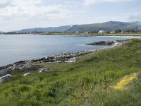 N, Nordland, Andoy, Dverberg 8, Saxifraga-Willem van Kruijsbergen