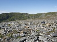 N, Nordland, Andoy, Nonstinden 12, Saxifraga-Willem van Kruijsbergen