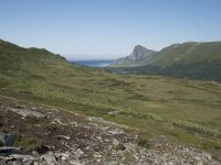 N, Nordland, Andoy, Nonstinden 34, Saxifraga-Willem van Kruijsbergen