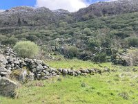 P, Guarda, Manteigas, Sao Pedro 18, Saxifraga-Kees Marijnissen