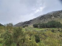 P, Guarda, Manteigas, Sao Pedro 4, Saxifraga-Kees Marijnissen